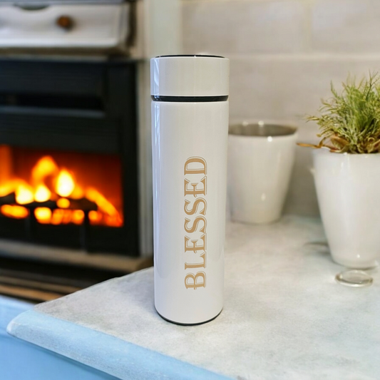 Stainless Steel Water Bottle